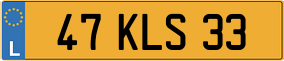 Truck License Plate
